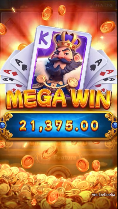 556bet