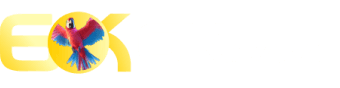 Kto jogos - 57bet
